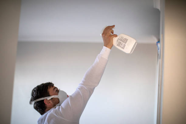 Best Office Mold Removal Services  in Downs, IL